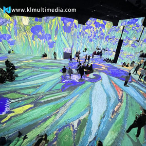 Salle de projection immersive