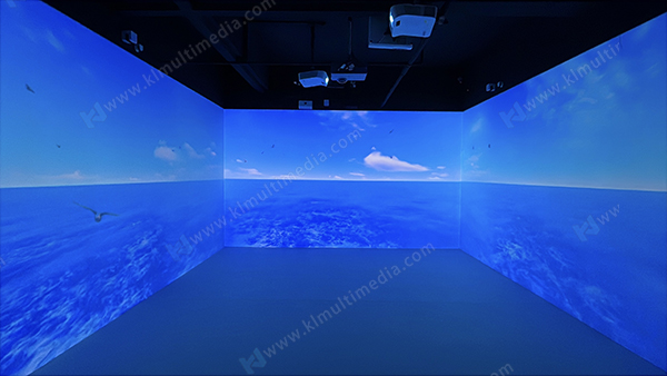 Vagues de la mer et oiseaux volants