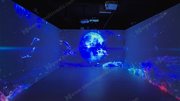 Dauphin de nuit &eacute;toil&eacute;e