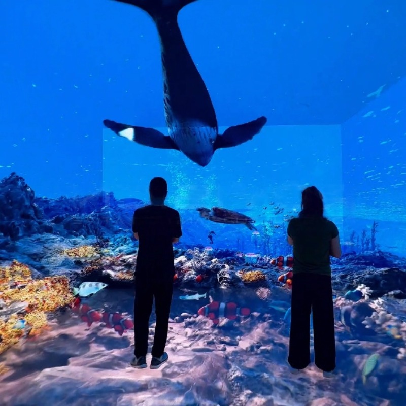 Projecteur d'hologramme 