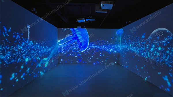 M&eacute;duse r&ecirc;veuse