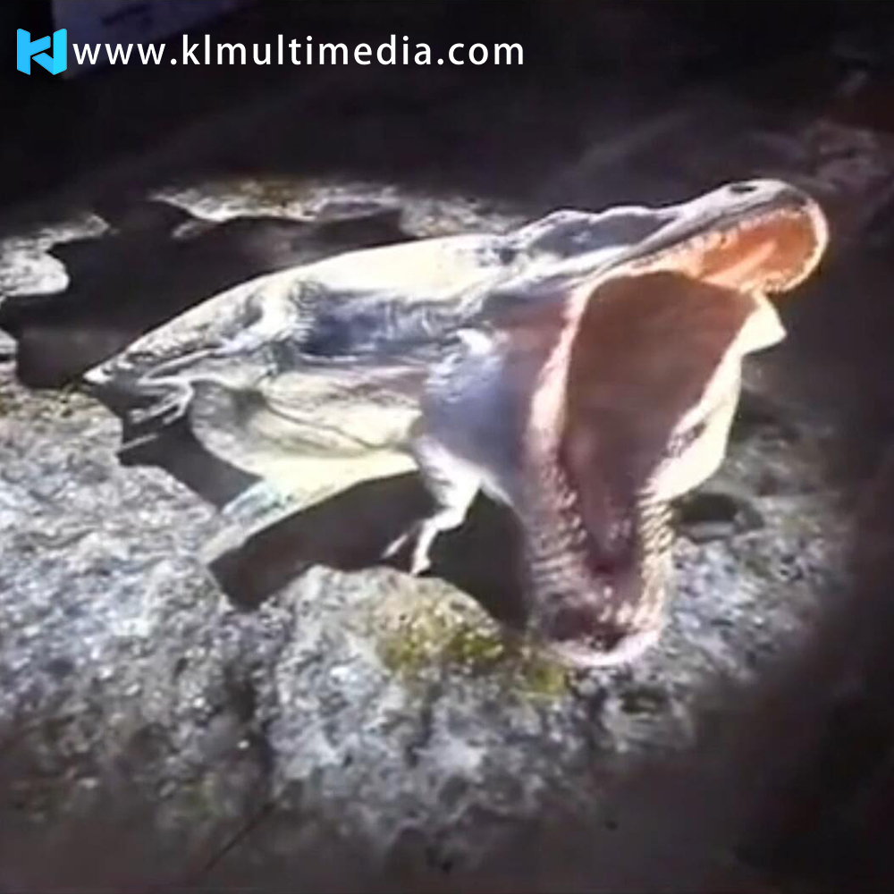 Expérience immersive avec les dinosaures