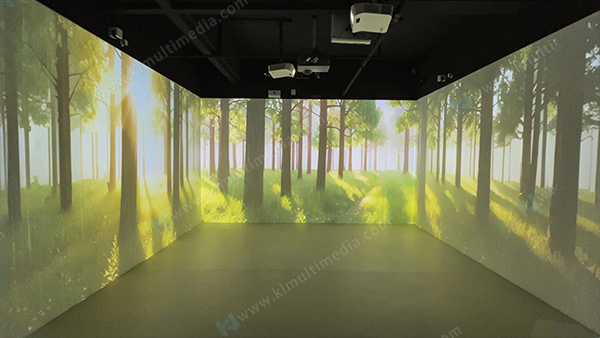 Sc&egrave;ne de pluie en for&ecirc;t