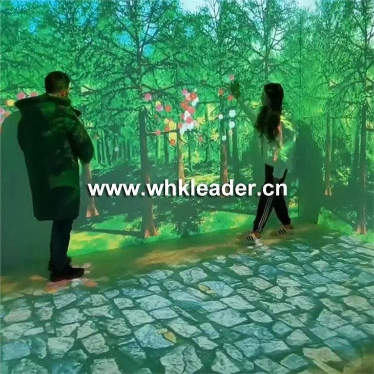 Projection immersive